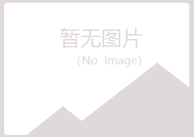 四川女孩金属有限公司